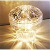 Premier Bond Distribution Kit di luci a LED per area fieristica Cabochon, E10, 24 Volt, 1,0 Watt, bianco caldo 3000 K, 60-65 lm, 45 mm (confezione da 30)