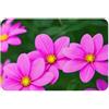 OXKGHHO Zerbino ultra sottile con stampa di fiori di bellezza,Tappeto d'ingresso per interni ed esterni,Tappetino di benvenuto per porta,Decorazione domestica del patio
