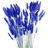 QUARKZMAN 120pcs Coda Di Coniglio Naturale Fiori Secchi 18 Mini Erba della Pampa Lagurus Ovatus Mazzo Per Decorazioni Floreali Matrimonio Natale, Blu Brillante