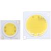 SPOUPKFKCK 5 pz LED COB Chip di Luce 50 W 30 20 15 12 9 7 3 AC220V Non C' È Bisogno Driver Smart IC Perline FAI DA TE for Il Riflettore Floo(12W 19x19mm,Warmwhite 220V)