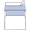 Blasetti CF25 BUSTE STRIP 12X18CM