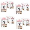 Royal Canin Gastro Intestinal Fibre Response | Confezione da 4 | 4 x 12 x 85 g | Alimento dietetico completo per gatti adulti | Per gatti che soffrono di stitichezza cronica