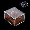 YZHZOM Mini terrario magnetico in acrilico, custodia impermeabile in acrilico per rettili, per spidi, scorpioni, rane corne, serpenti (10 x 8,5 x 6 cm)