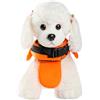 Generico Costume Da Bagno Per Cani | Per Animali Domestici - Giubbotto Rifrangente Regolabile Galleggiante Per Animali Domestici Spiaggia Piscina