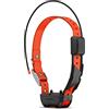 Garmin Alpha TT 25 GPS Collare di monitoraggio e allenamento per cani