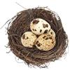 Zvn Zojne per uccelli in rattan, fatto a mano, gabbia per uccelli intrecciata, per allevamento e deposizione delle uova, accogliente casetta per uccelli pasquali, per piccioni, pappagalli, conigli,