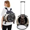 PETCUTE Zaino Trolley per Cani Gatti,Buona Ventilazione,Zaino per Gatti con Tappetino Rimovibile,Comoda Maniglia,Pieghevole Trasportino Gatto con Ruote per Cani Piccoli Gatti Medi Fino 7.5 KG