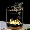 ZKBDBWTR Kit di Avviamento per Acquario Betta - Aquario Pesci Rossi con Base in Legno, Luce LED, Pompa Dell'acqua - Acquarios per Tartarughe Rossi per Principianti(20 * 30cm/7.8 * 11.8in)
