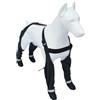 BLOSSOMLIFE Stivali per cani con bretelle, impermeabili, stivali da pioggia per cani di taglia grande, suola in gomma, pantaloni da neve, protezioni per zampe, scarpe legging, stivali da neve