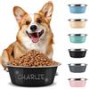 Aappping Gamelle Personnalisée Pour Chien Chat Inox,Gravure Laser Texte Prénom Ou Date Gravé, Grande Et Petite Taille Chien Accessoires Cadeau Pour Chiens, Chat Compagnie (Gray, M)