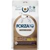 Generico Forza 10 Cane All Size INTESTINAL COLON FASE 1 Adult MONO gusto AGNELLO alimento monoproteico per cani adulti di tutte le taglie,per la riduzione dei disturbi dell'assorbimento intestinale, da 1,5kg