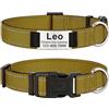 MENKËLL - Collare personalizzato per cani, gatti regolabile e riflettente, in nylon resistente, con incisione laser targhetta in metallo, nome, indirizzo, varie misure (ORO, S: 33-43cm)