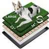 MEEXPAWS Erba artificiale per lettiera per cani, grande, 85 x 59 cm, 2 pezzi di erba finta per cani, drenaggio rapido, 2 tappetini per addestramento, vasino per interni