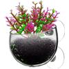 Whnbuij Vaso per piante acquatiche - Vaso per piante acquatiche con ventose, gamberetti, piante vive, supporto per acquario, vaso in vetro per decorazione acquario, piante acquari