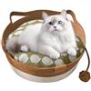 Generico Cesta Per Gatti In Corda Intrecciata S/M/L Cotone E Lino Cestino Per Lettino Per Gattis Intrecciato A Mano Con Cuscino Rimovibile Resistente Ai Graffi, Morbida E Delicata Sulla Pelle Traspirante