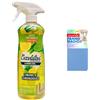 imi shop Detergente Multiuso Bloomalcool 60° Super Profumante Igienizzante 750ml con Panno Magico in omaggio (Lavanda)
