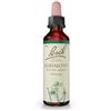 Bach Original Bach-Blüten Nr. 1 Agrimony Odermennig Tropfen, 20 ml Soluzione