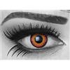 MeralenS Funnylens Lenti a Contatto Arancione con Porta Lenti a Contatto Orange Werewolf Zombie Vampiro morbide comode da Indossare e Ideali per Halloween o Carnevale Senza correzione