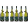 Olivini Lugana 2021 doc 6 bott. x 0,75 L