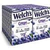 SINGLES TO GO! Welch's Singles To Go Juice, Grape, 0.45 Ounce 6 singles