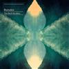 Ninja Tune The North Borders