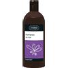 Ziaja Champú De Lavanda Para Cabello Graso - 500 Ml