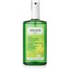 Weleda Deodorante Spray Limone, fresco profumo e 24h di efficace protezione, con puri oli essenziali naturali di limone e litsea-cubeba, senza sali d'alluminio (1X100 ml)