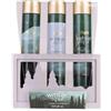 Accentra Set bagno WINTER SPA in cassetta legno con docciaschiuma, olio da bagno e sali da bagno, regalo donna Natale, profumo pino fresco & bacche invernali, verde/oro/bianco