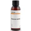 Aroma Labs Carota BIO (Daucus carota) - 50 mL - Macerato Oleoso Certificato Cosmos - Aroma Labs - Made in France