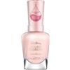 Sally Hansen Color Therapy Nail Polish Lacquer - 230 Sheer Nirvana, 14.7 ML