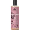 Urtekram Shampoo Preserva Colore Rosa Selvatica - Vegano, Biologico, Origine Naturale 250 ml (Confezione da 1)