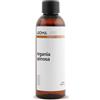 Aroma Labs Argan BIO (Argania spinosa) - 100 mL - Olio Vegetale Vergine e Certificato Cosmos - Aroma Labs - Made in France