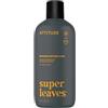 ATTITUDE 2-in-1 Body Wash and Hair Shampoo, EWG Verified Shower Gel, Dermatologically Tested, Made with Naturally Derived Ingredients, Vegan Personal Care, Ginseng and Grapeseed Oil, 473 mL