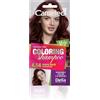 Cameleo - Shampoo colorante - Nero ciliegia - Aggiornamento del colore facile e veloce ''Tone In Tone''. - Senza ammoniaca e ossidanti - Shampoo in bustina - 40ml (4.54 Cherry Black)