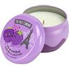 Fruit Company Candele - 250 Gr