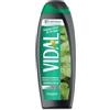 Vidal - Docciashampoo Peppermint & Ginkgo, Formula Rinfrescante, con estratti di Menta e Ginkgo Biloba, Dermatologicamente Testato, 250ml