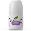 Dr.Organic Dr Organic Deodorante alla Lavanda, Senza Alluminio, Per Uomini, Per Donne, Naturale, Vegano, Cruelty-Free, Senza Parabeni e SLS, Riciclato e Riciclabile, Certificato Biologico, 50ml
