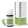 Pranarom Esen. Estragon 5Ml Pranarom 500 g