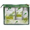 Dr.Organic Set da viaggio piedi e unghie Dr Organic Tea Tree | Deodorante, Piedi secchi e screpolati, Purificante, Vegano, Non testato sugli animali, Senza parabeni e SLS, Confezione da 3