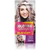Delia Cosmetics Cameleo - Shampoo colorante - Rose Blonde - Aggiornamento del colore facile e veloce ''Tone In Tone''. - Senza ammoniaca e ossidanti - Shampoo in bustina - 40ml