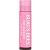 Burt's Bees, balsamo per labbra colorato Pink Blossom, tinta idratante per labbra con burro di karité, 100% origine naturale, 4,25 g (la confezione può variare)