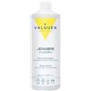 Valquer Laboratorios VALQUER Shampoo Antiforfora allo Zenzero | 1 L | Combatte la forfora e rinforza i capelli | Con pantenolo e vitamina E | Formula vegana