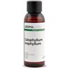 Aroma Labs Calofilla Inofila BIO (Calophyllum inophyllum) - 50 mL - Olio Vegetale Vergine e Certificato Cosmos - Aroma Labs - Made in France