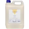 Valquer Laboratorios VALQUER Shampoo alla Mandorla | Rinforza e Protegge i Capelli | Pulizia Profonda e Morbidezza per Tutti i Tipi di Capelli | Formula Vegana Senza Siliconi | 5 L