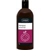 Ziaja Champú De Higo Para Cabello Normal - 500 Ml