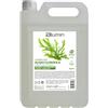 Tahe Blumin Shampoo per uso quotidiano con alghe clorofilla, pH netto 5,5 ideale per tutti i tipi di capelli, 5000 ml