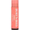 Burt's Bees Balsamo labbra colorato Burt's Bees Zinnia, burro di karité, 4,25 g