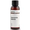 Aroma Labs Baobab BIO (Adansonia digitata) - 50 mL - Olio Vegetale Vergine e Certificato Cosmos - Aroma Labs - Made in France