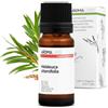Aroma Labs - Olio Essenziale di Tea Tree BIO - 10 mL - Formato Scoperta - Chemiotipizzato e Certificato Ecocert - Made in France