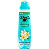 Ushuaia Ushuaïa - Deodorante compresso, 48 ore, monoi di polinesia, 100 ml